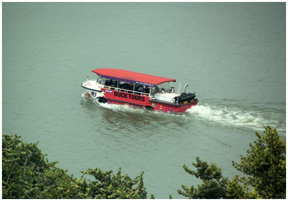 Двенадцать дней осени в городе вечного лета