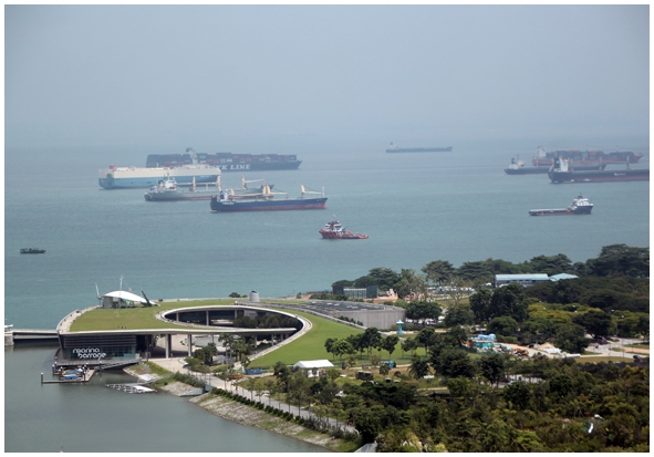 Двенадцать дней осени в городе вечного лета