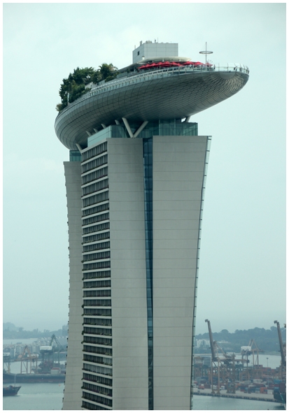 Двенадцать дней осени в городе вечного лета