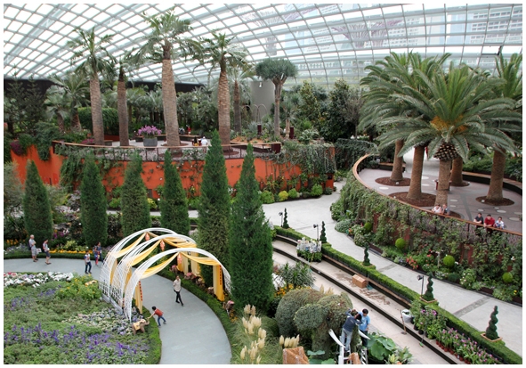 Двенадцать дней осени в городе вечного лета