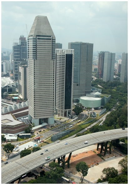 Двенадцать дней осени в городе вечного лета