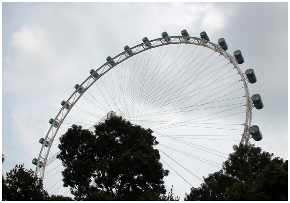 Двенадцать дней осени в городе вечного лета