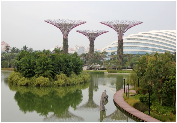 Двенадцать дней осени в городе вечного лета