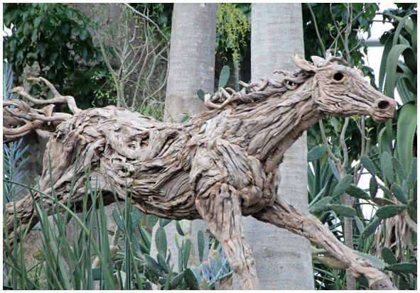 Двенадцать дней осени в городе вечного лета