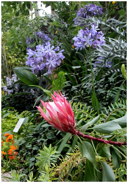 Двенадцать дней осени в городе вечного лета