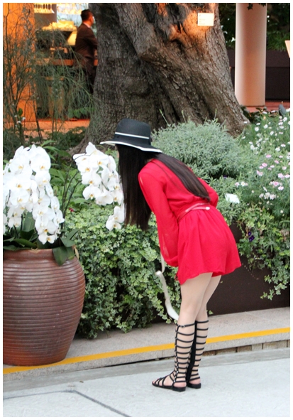 Двенадцать дней осени в городе вечного лета