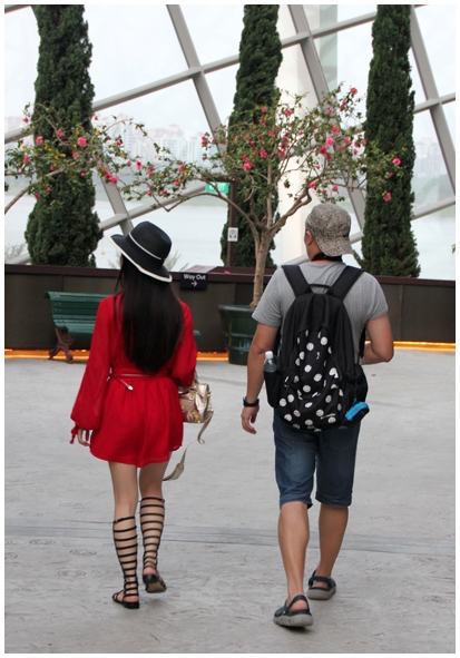 Двенадцать дней осени в городе вечного лета