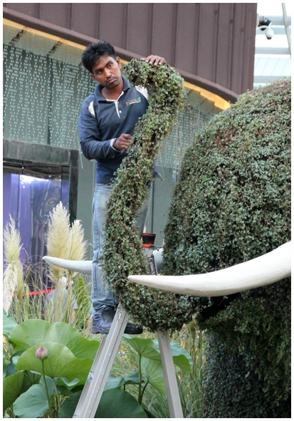 Двенадцать дней осени в городе вечного лета