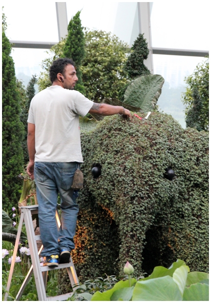 Двенадцать дней осени в городе вечного лета
