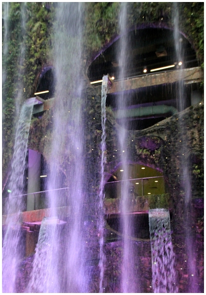 Двенадцать дней осени в городе вечного лета