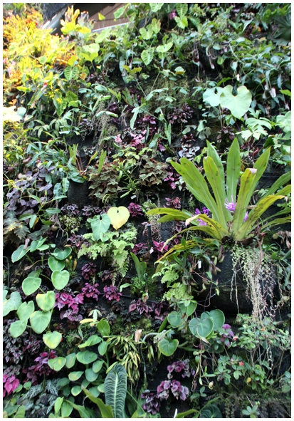 Двенадцать дней осени в городе вечного лета