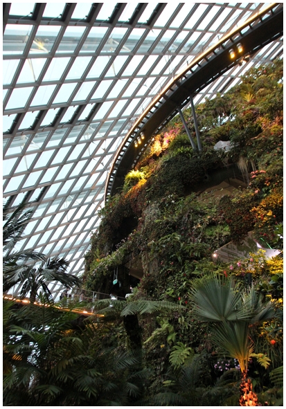 Двенадцать дней осени в городе вечного лета