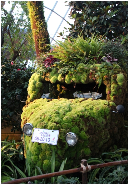 Двенадцать дней осени в городе вечного лета