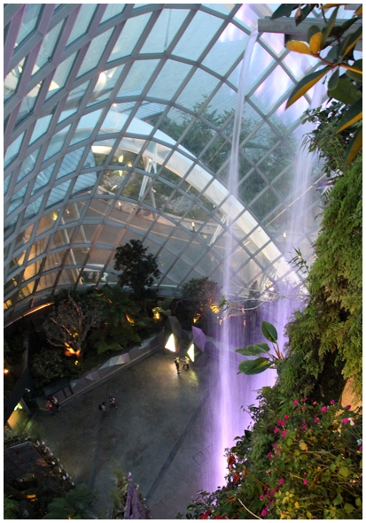 Двенадцать дней осени в городе вечного лета