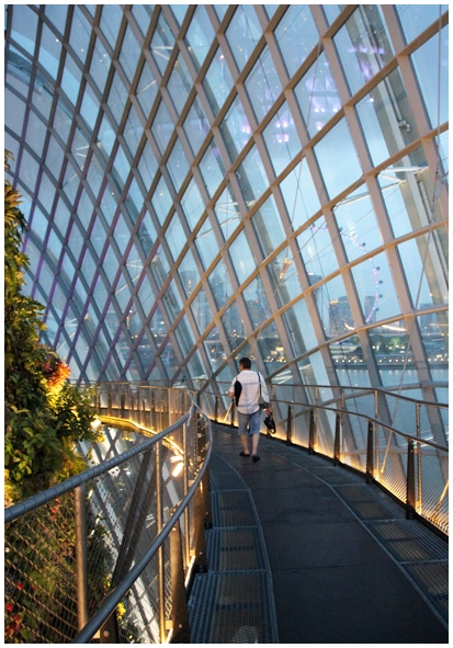 Двенадцать дней осени в городе вечного лета