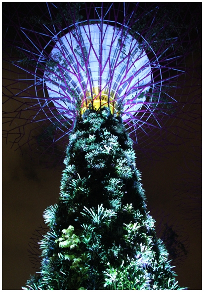 Двенадцать дней осени в городе вечного лета