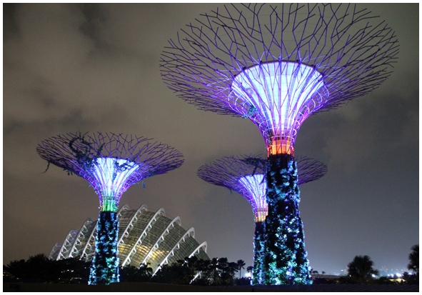 Двенадцать дней осени в городе вечного лета