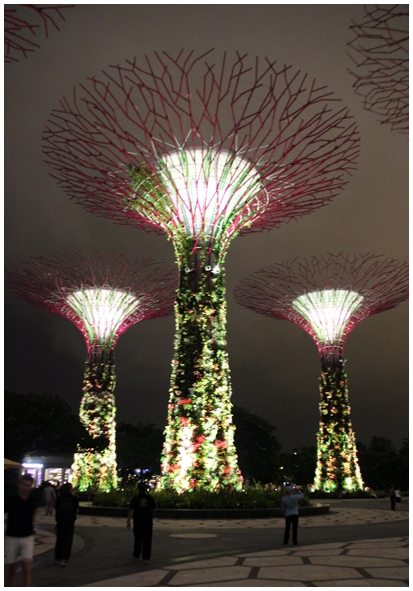 Двенадцать дней осени в городе вечного лета