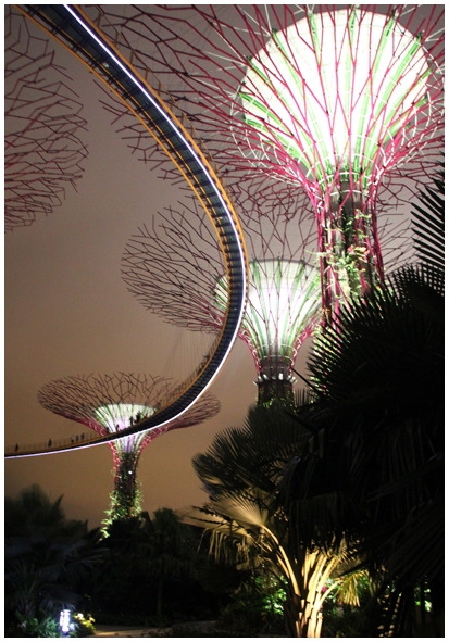 Двенадцать дней осени в городе вечного лета