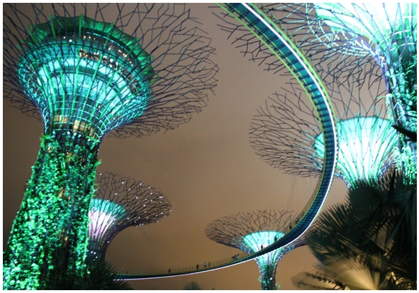 Двенадцать дней осени в городе вечного лета