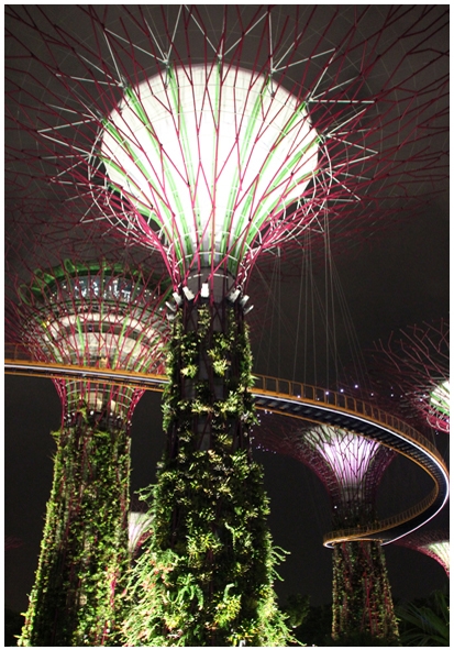 Двенадцать дней осени в городе вечного лета