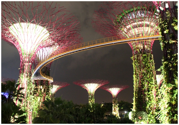 Двенадцать дней осени в городе вечного лета