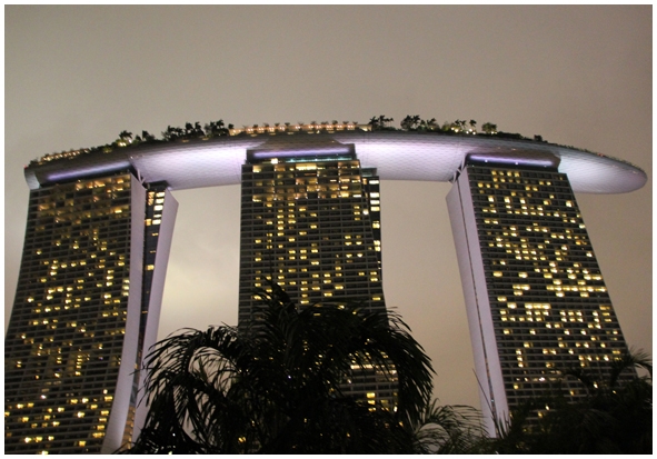 Двенадцать дней осени в городе вечного лета