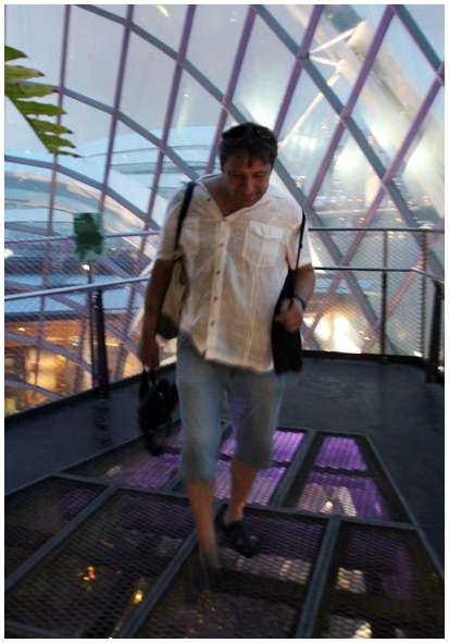 Двенадцать дней осени в городе вечного лета