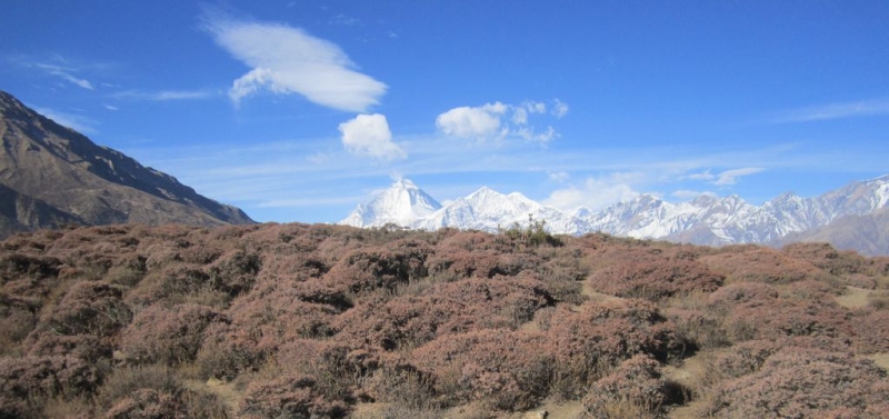Муктинатх,АВС (февраль 2016), долина Катманду