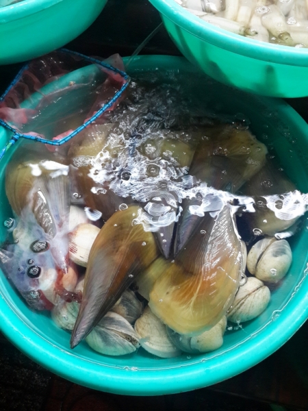 Нячанг. 31 июля - 16 августа 2015