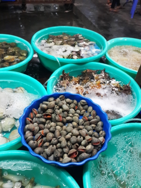 Нячанг. 31 июля - 16 августа 2015