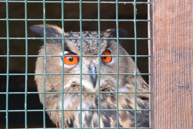 Шато де Миланд