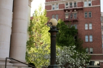 Reno 30