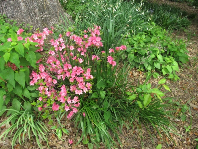 Раз, и все!  Или вертикальный взлет в Нью-Йорк. Май 2015.