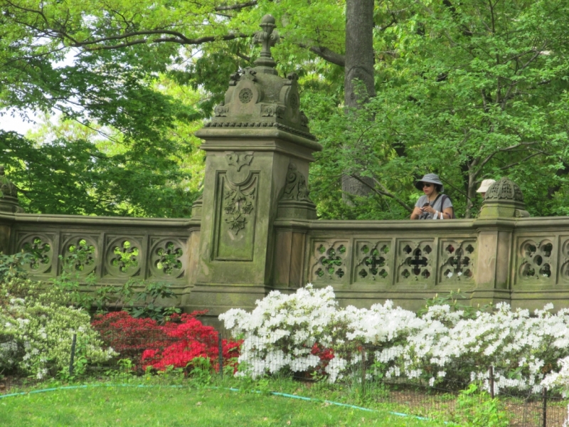 Раз, и все!  Или вертикальный взлет в Нью-Йорк. Май 2015.