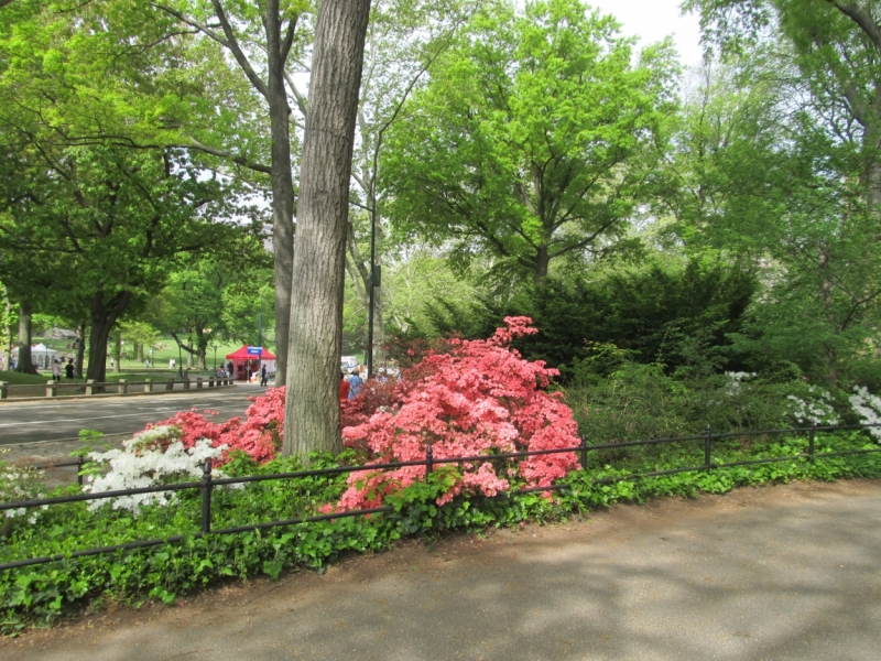 Раз, и все!  Или вертикальный взлет в Нью-Йорк. Май 2015.