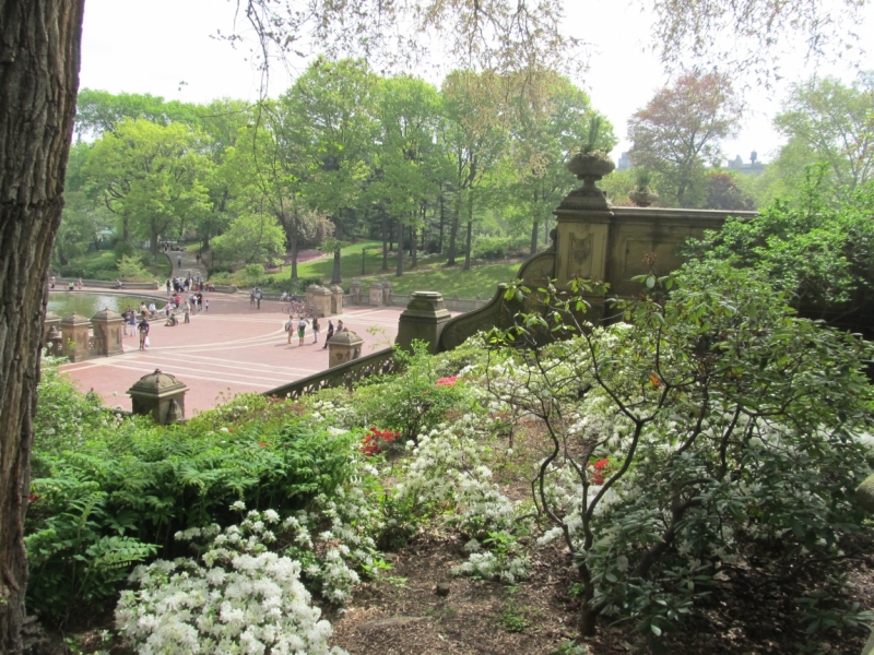 Раз, и все!  Или вертикальный взлет в Нью-Йорк. Май 2015.