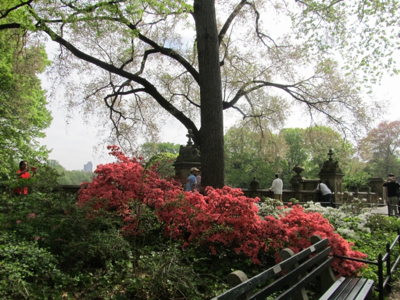 Раз, и все!  Или вертикальный взлет в Нью-Йорк. Май 2015.