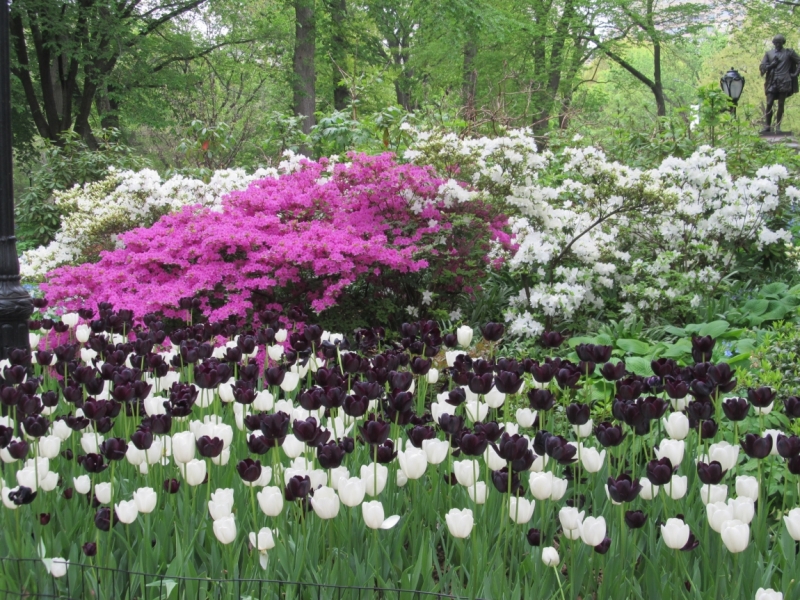 Раз, и все!  Или вертикальный взлет в Нью-Йорк. Май 2015.