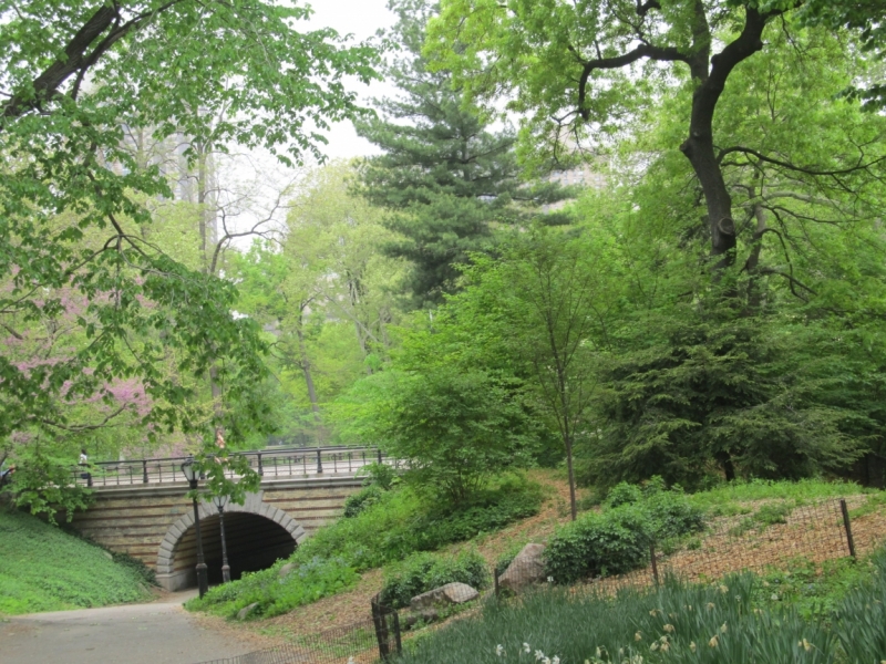 Раз, и все!  Или вертикальный взлет в Нью-Йорк. Май 2015.