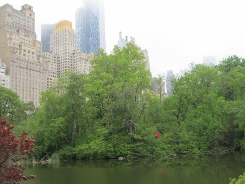 Раз, и все!  Или вертикальный взлет в Нью-Йорк. Май 2015.