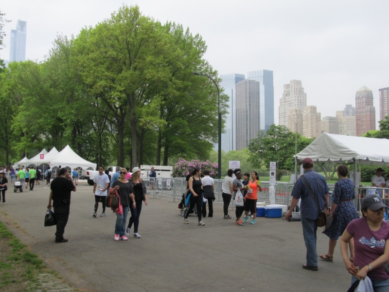 Раз, и все!  Или вертикальный взлет в Нью-Йорк. Май 2015.