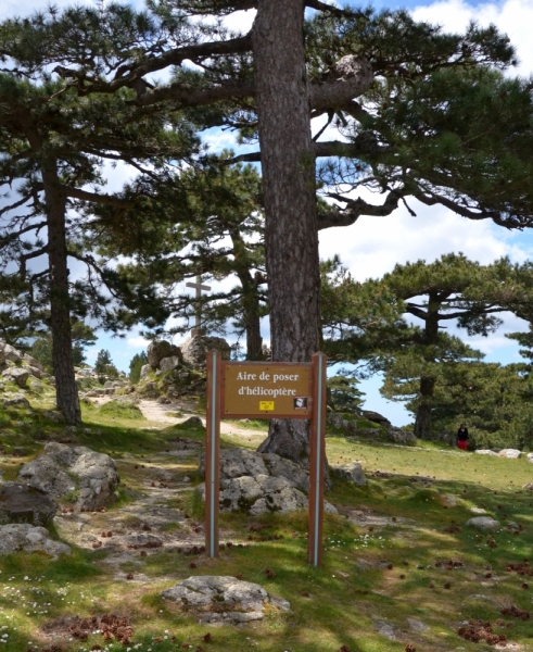 Корсика. Неделя на острове красоты. Май 2014