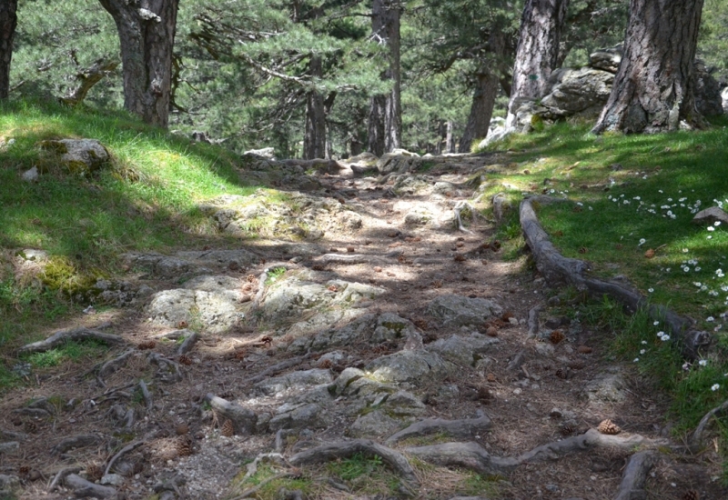 Корсика. Неделя на острове красоты. Май 2014