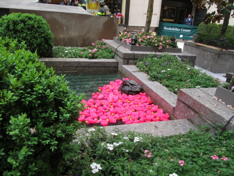 Раз, и все!  Или вертикальный взлет в Нью-Йорк. Май 2015.