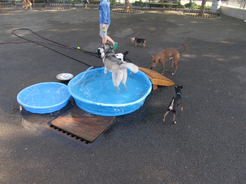 Раз, и все!  Или вертикальный взлет в Нью-Йорк. Май 2015.