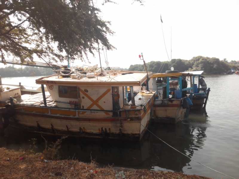 Шри-ланка на скутере. Пыль дорог.(21.01-05.02)