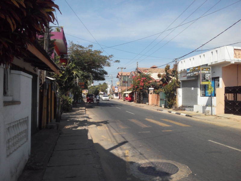 Шри-ланка на скутере. Пыль дорог.(21.01-05.02)