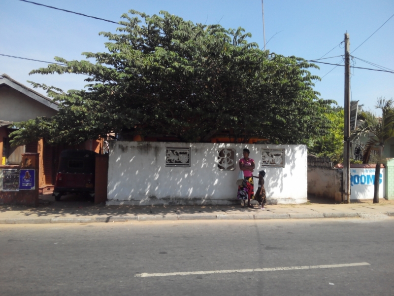 Шри-ланка на скутере. Пыль дорог.(21.01-05.02)