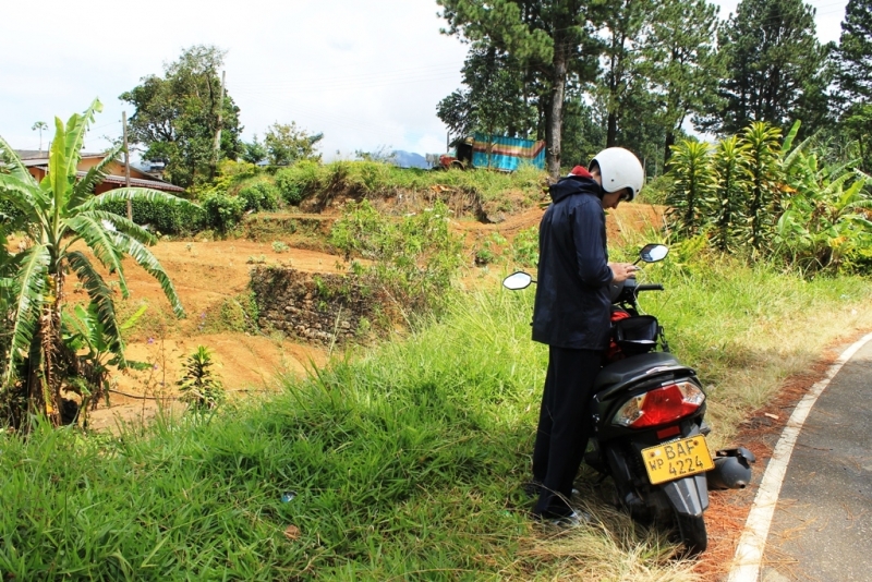 Шри-ланка на скутере. Пыль дорог.(21.01-05.02)